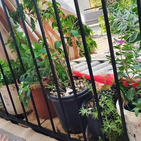 Guest In Local Family House Hotel Fethiye